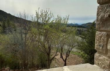 Poble Rural Puig Arnau - Pubilló - Foto 50