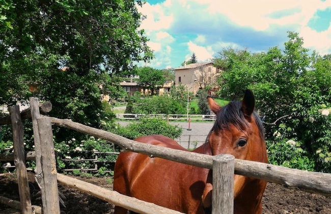 Agriturismo San Filippo - Foto 1
