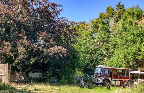 Romney Wagon - Foto 16