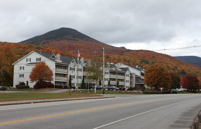 The Nordic Inn a Condominium Resort - Photo 36