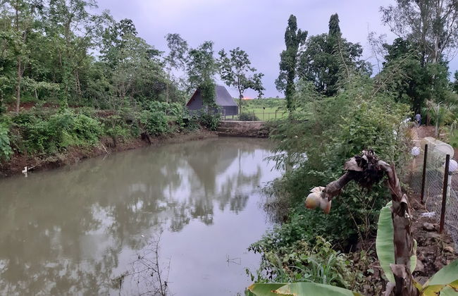 Mesmerising Farm Stay in Chalets Near Mumbai and Pune- Create Memories - Foto 27