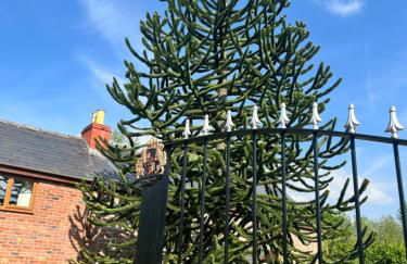 Lilac Cottage - Foto 34