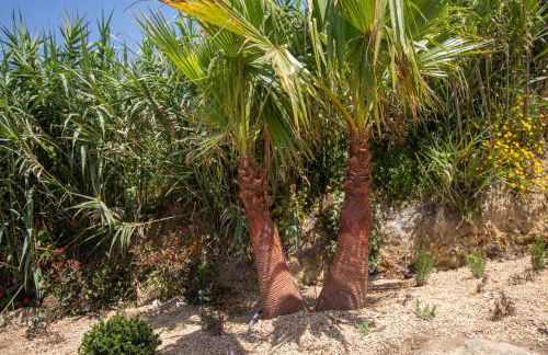 Villa Barthelemy, Ericeira Luxury Villa - Foto 20