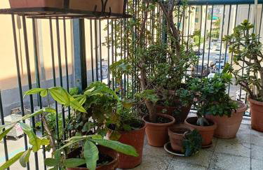 Casa Rosa - Foto 24