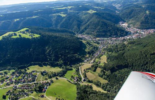 Ferienwohnungen Schwabenhof - Foto 20