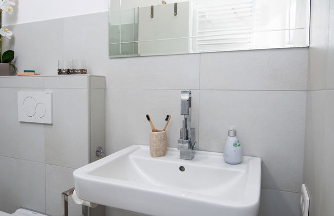 Kegelrobbe - Foto 35