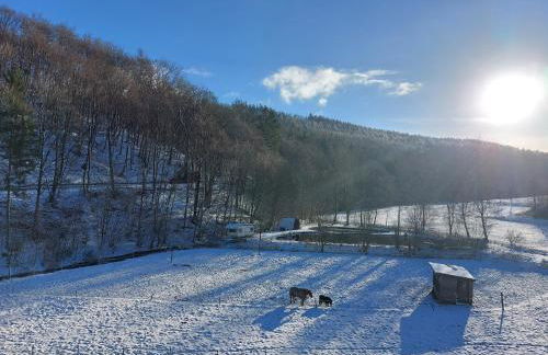 Ferienwohnung Zum Kühlen Grund - Foto 24