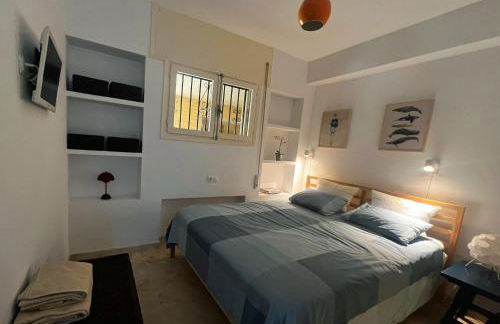 Rosa Nautica 3 - Photo 9