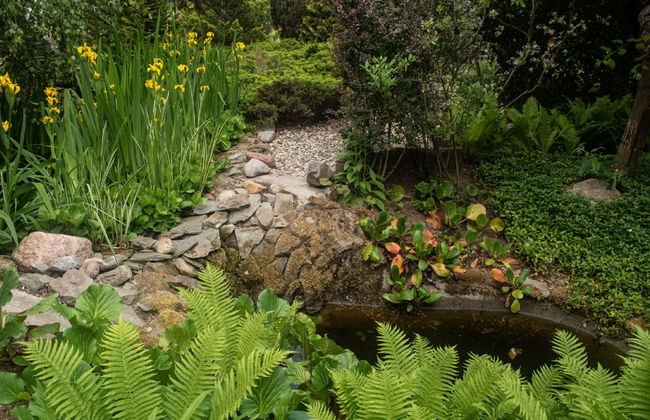 Villa Bieszkowice - Foto 28