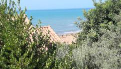 Il Verde Ulivo - Photo 2