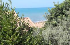 Il Verde Ulivo - Foto 2