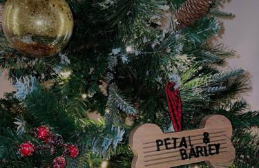 Coastal Cottage, Private Hot Tub & Sauna Sleeps 2-8 with Views - Foto 29