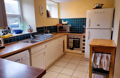 Black Dog House - Foto 11