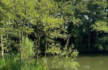 Woodlands Luxury Lake Log Cabin - Vetiver Villa - Foto 13