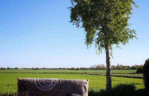 Ferienwohnung Albert - Foto 2