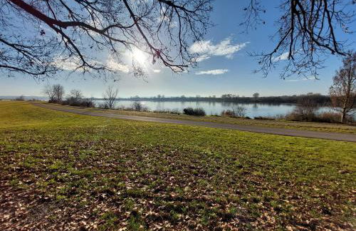 Ankerplatz direkt am Altmühlsee bei Juliane und Klaus - Foto 21