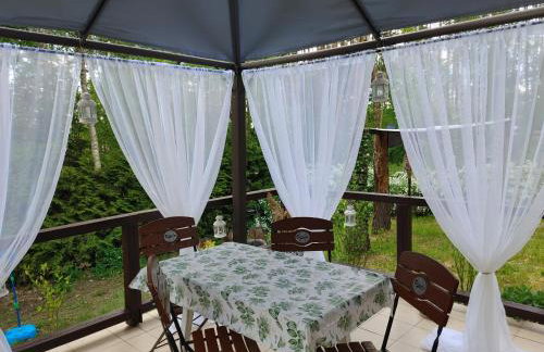 Domek w Borach Tucholskich - Wycinki - Foto 17