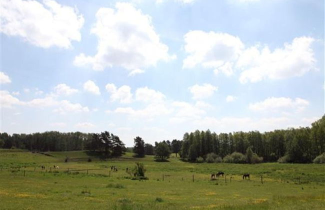 Ferienhaus am Garder See Inselblick - Foto 39
