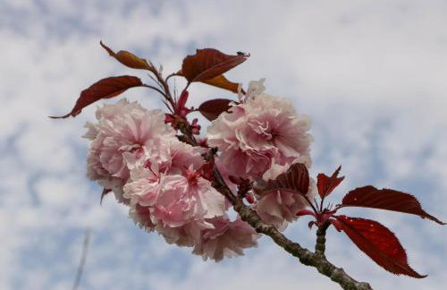 The Cottage at Rocklands Farm - Foto 26