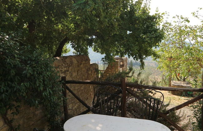 Agriturismo Poggio di Montepescoli - Il Noce - Foto 10