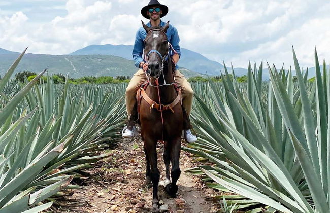 Passeggiata a cavallo a Oaxaca - Foto 4