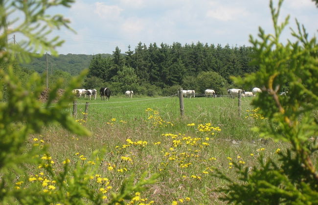 Farmhouse in Aublain With Terrace - Foto 38