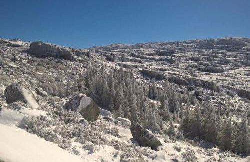 Casa Oeste - Photo 63