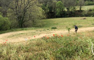 L'Olivier Fleurie Barjols - Foto 66