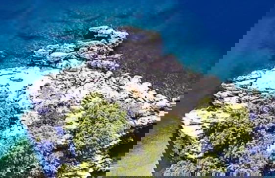 Villa Dalmatia - Foto 40