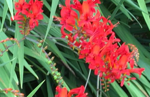 Welsh Gatehouse, Historic Castle which can cater for Electric Vehicle - Foto 33