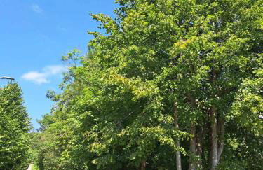 Apartman Barbara - Foto 23