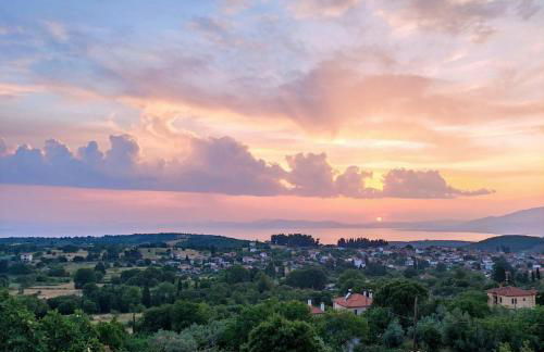 Koeni House - Foto 39