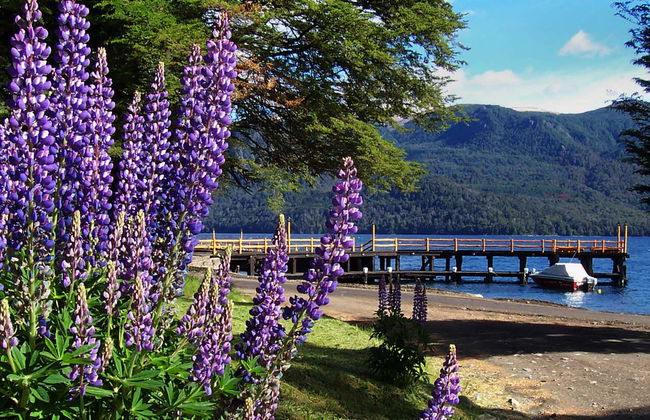 Private Excursions from Villa La Angostura - Foto 5