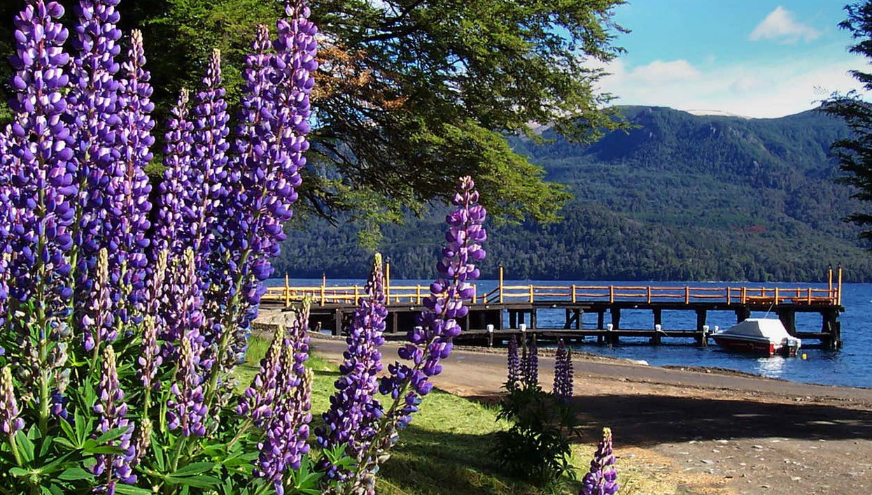 Découvrez Villa Traful