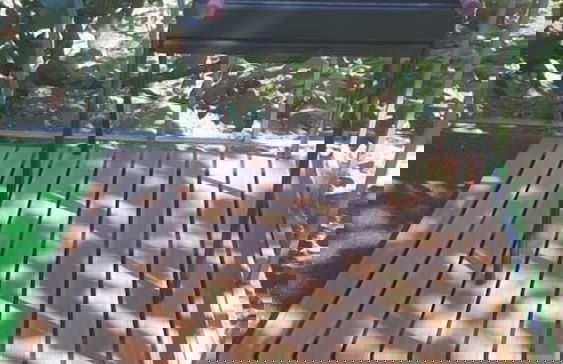 Carvalhosa Apartment - Foto 9