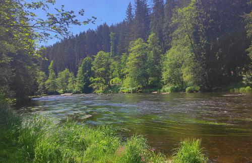 Hofstub´n - Foto 44