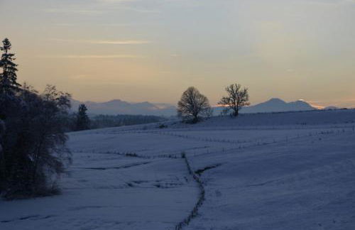 Langegger Alm - Sennerstube - Foto 19