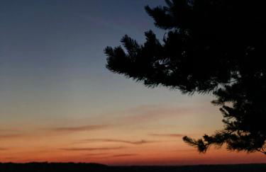 Domaine de Cazal - Gîte 4 pers avec piscine au cœur de 26 hectares de nature préservée - Foto 32