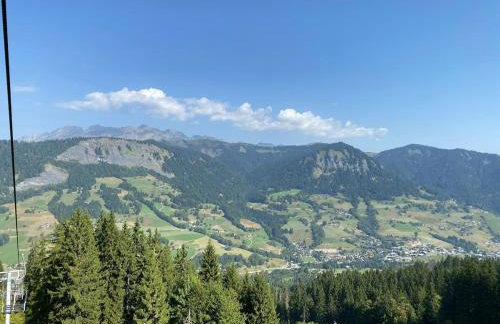 L'Ecrin des Myrtilles - Appartement cosy - Piscine et vue montagne - Alpes - Val d'Arly - Aravis et Beaufortain - Foto 49
