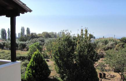 Palirria Hotel & Studios - Photo 48