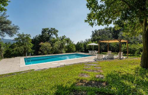 Casa do Pomar - Manor House - Foto 34