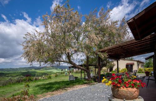 Agriturismo Il Canterino - Foto 23