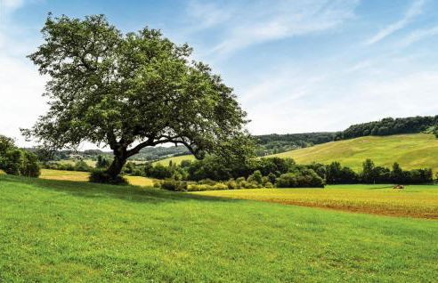 Stunning Home In Bon Encontre - Foto 8