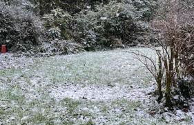 Beautiful renovated former coach house - Photo 39