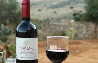 Iliopetra Villa - Foto 43