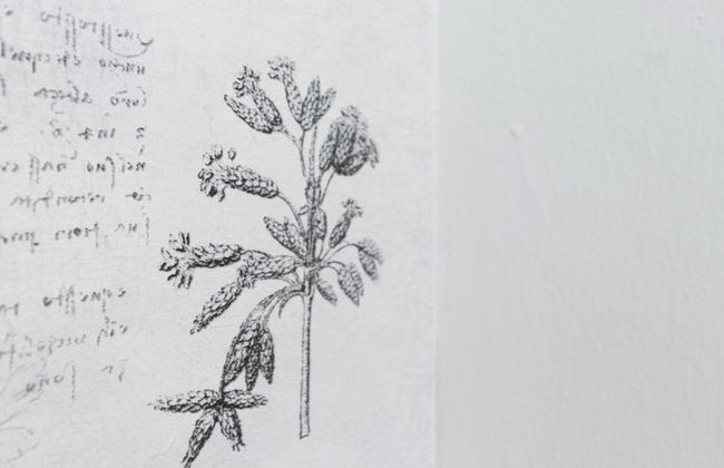 Italianway - Melzo 24 - Foto 27