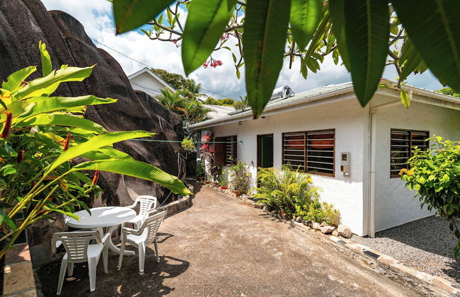 Beau Bamboo - Foto 62