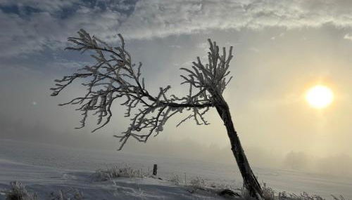 Ferienhaus Erzgebirge "An der Trebe" mit Kamin und Sauna - Photo 3