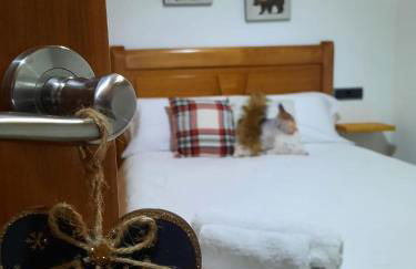 mcastet, casita aranesa en el valle de aran - Foto 34