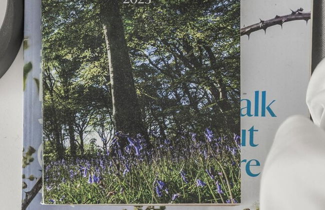 Secret Garden House With Free Parking By My Getaways - Foto 10